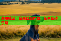 海角社区：全新社交体验，畅享互动乐趣