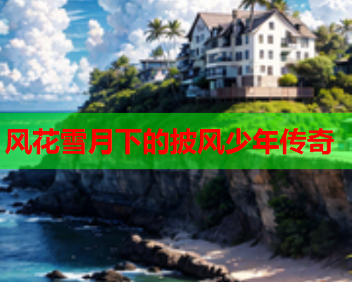风花雪月下的披风少年传奇
